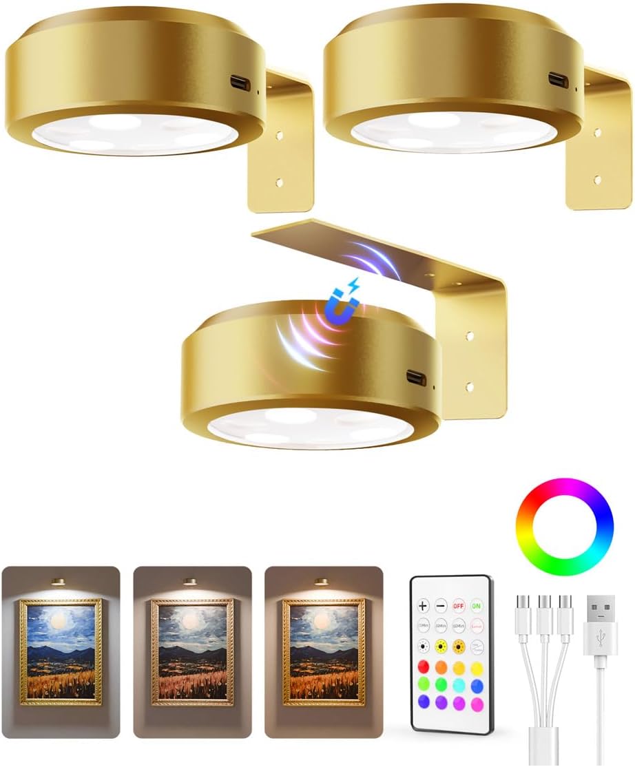 Picture Light Battery Operated Rechargeable Dimmable with Remote for Wall Art