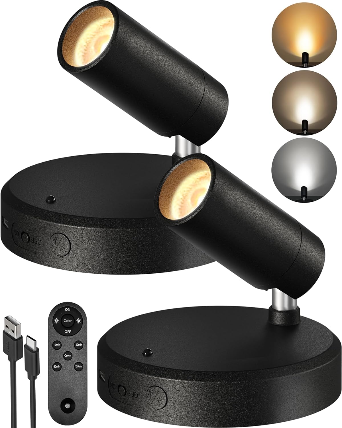 RGB Picture Light Rechargeable Color Changing with Remote for Wall Art