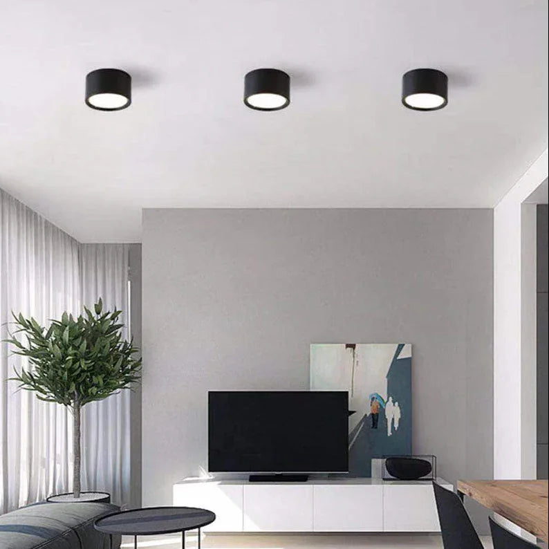 Surface Mount LED Ceiling Light, Mounts Flat with No Cut-Out