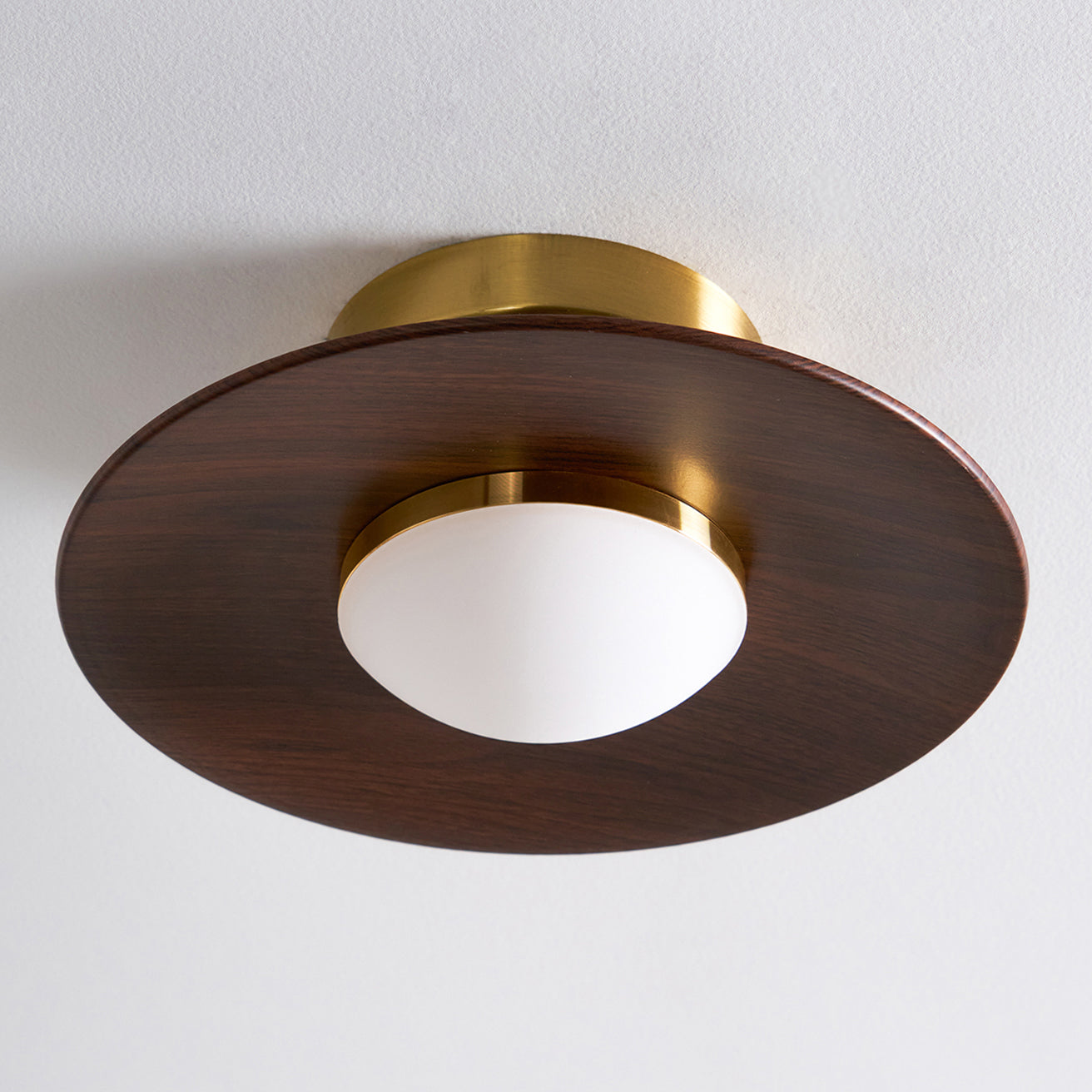 Compact Flush Mount Ceiling Light Integrated LED Dimmable for Entryway