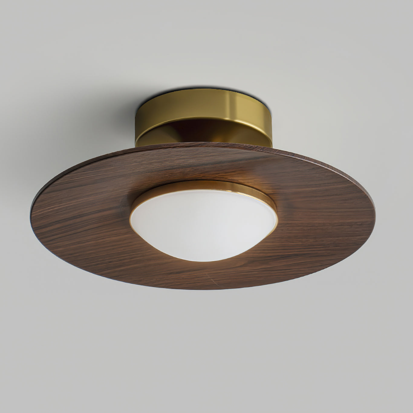 Compact Flush Mount Ceiling Light Integrated LED Dimmable for Entryway