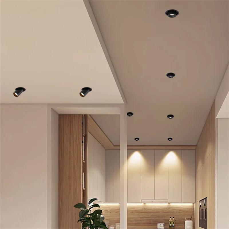 Recessed LED Spotlight Adjustable Tilt and Pull-Down Head