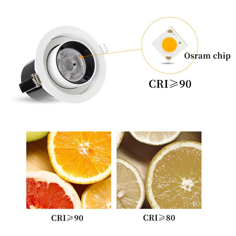 Recessed LED Spotlight Adjustable Tilt and Pull-Down Head
