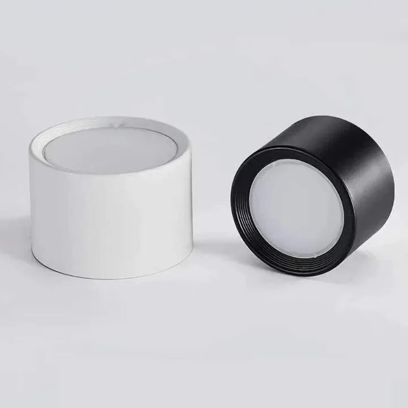 Surface Mount LED Ceiling Light, Mounts Flat with No Cut-Out