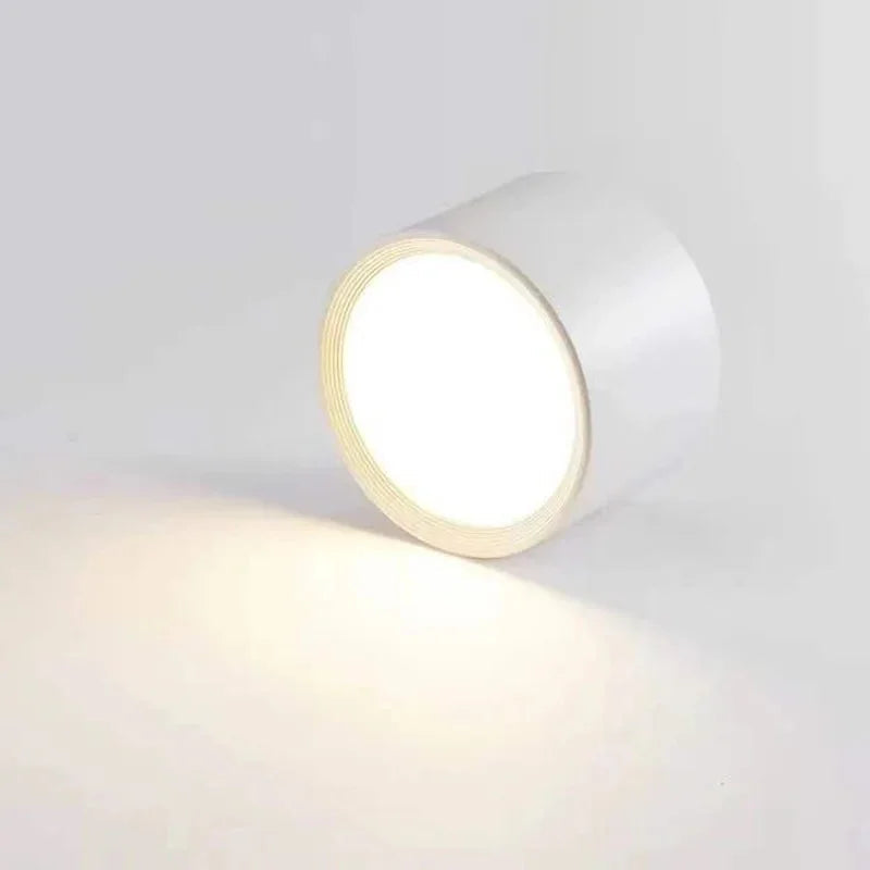 Surface Mount LED Ceiling Light, Mounts Flat with No Cut-Out