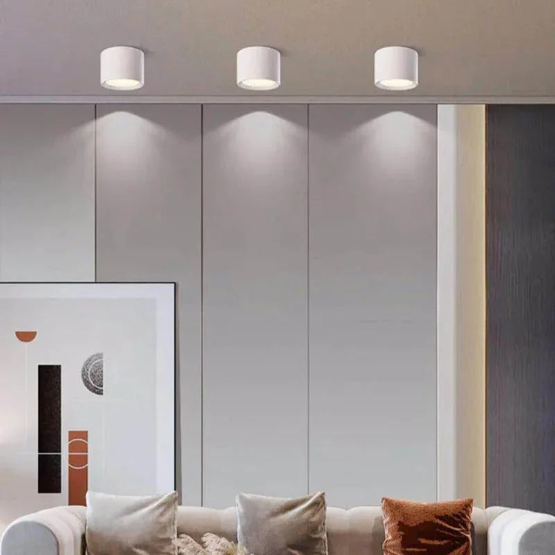 Surface Mount LED Ceiling Light, Mounts Flat with No Cut-Out