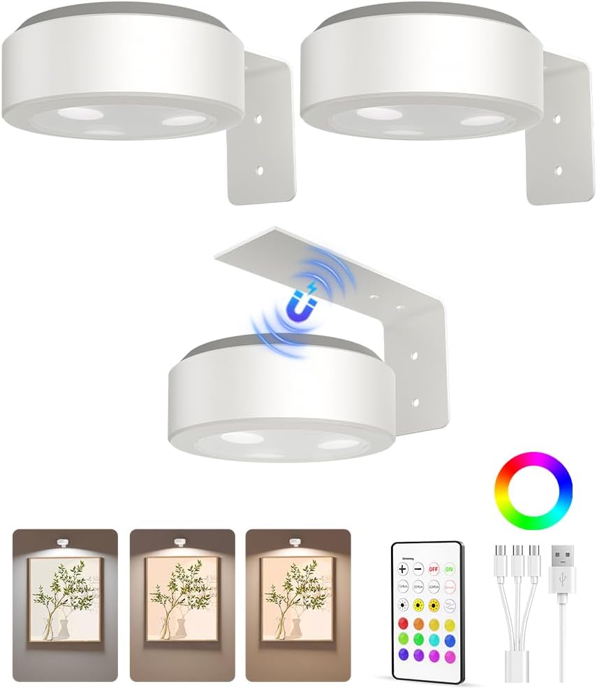 Picture Light Battery Operated Rechargeable Dimmable with Remote for Wall Art
