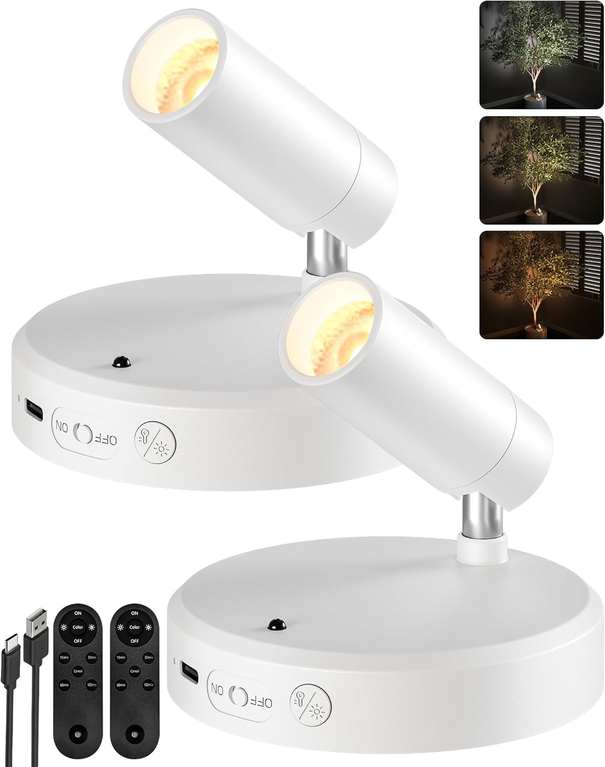 RGB Picture Light Rechargeable Color Changing with Remote for Wall Art