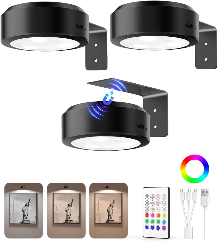 Picture Light Battery Operated Rechargeable Dimmable with Remote for Wall Art