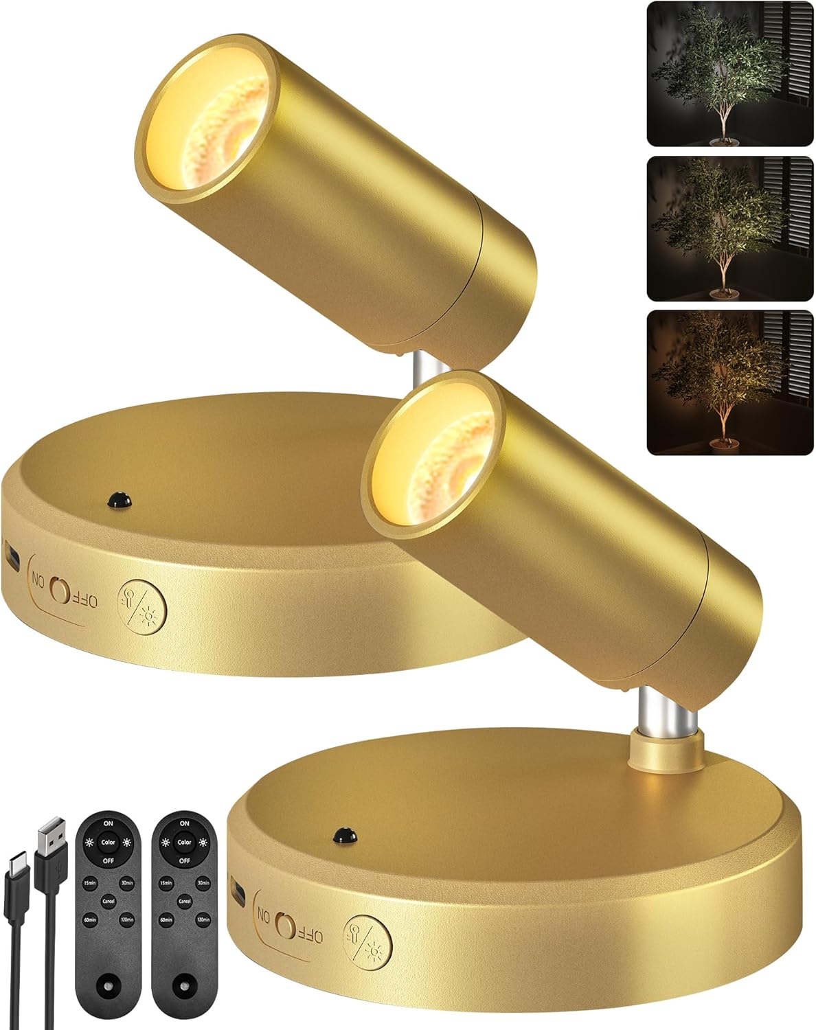 RGB Picture Light Rechargeable Color Changing with Remote for Wall Art