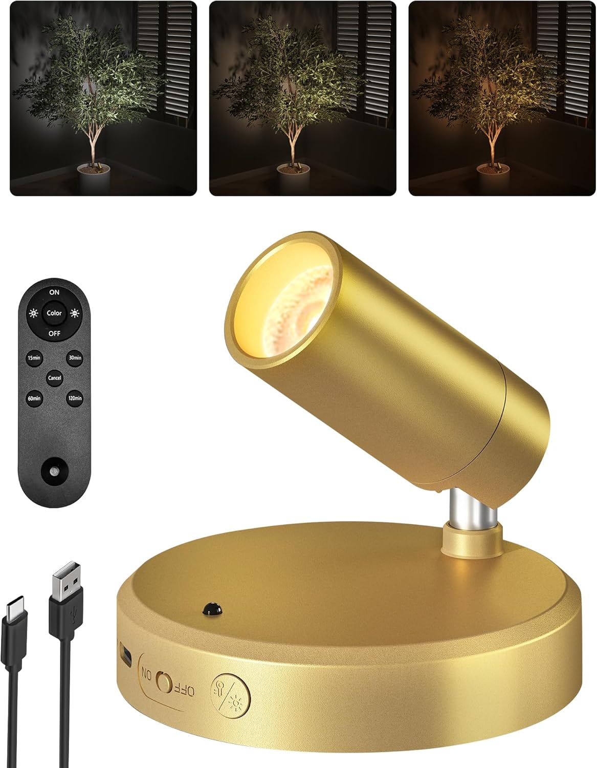 RGB Picture Light Rechargeable Color Changing with Remote for Wall Art