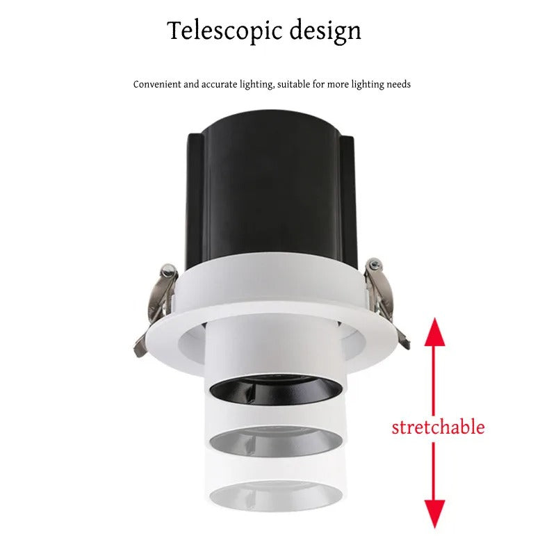 Recessed LED Spotlight Adjustable Tilt and Pull-Down Head