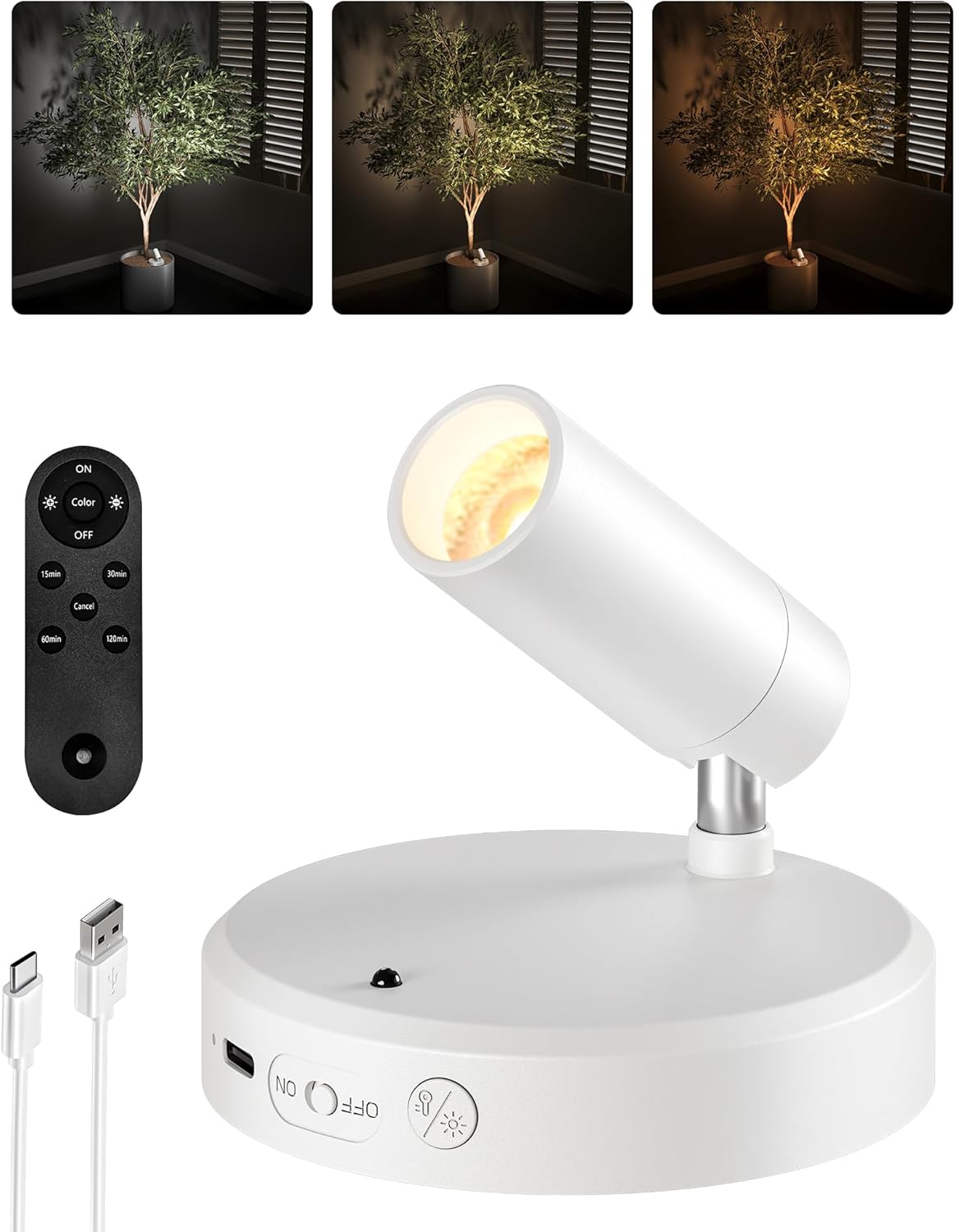 RGB Picture Light Rechargeable Color Changing with Remote for Wall Art