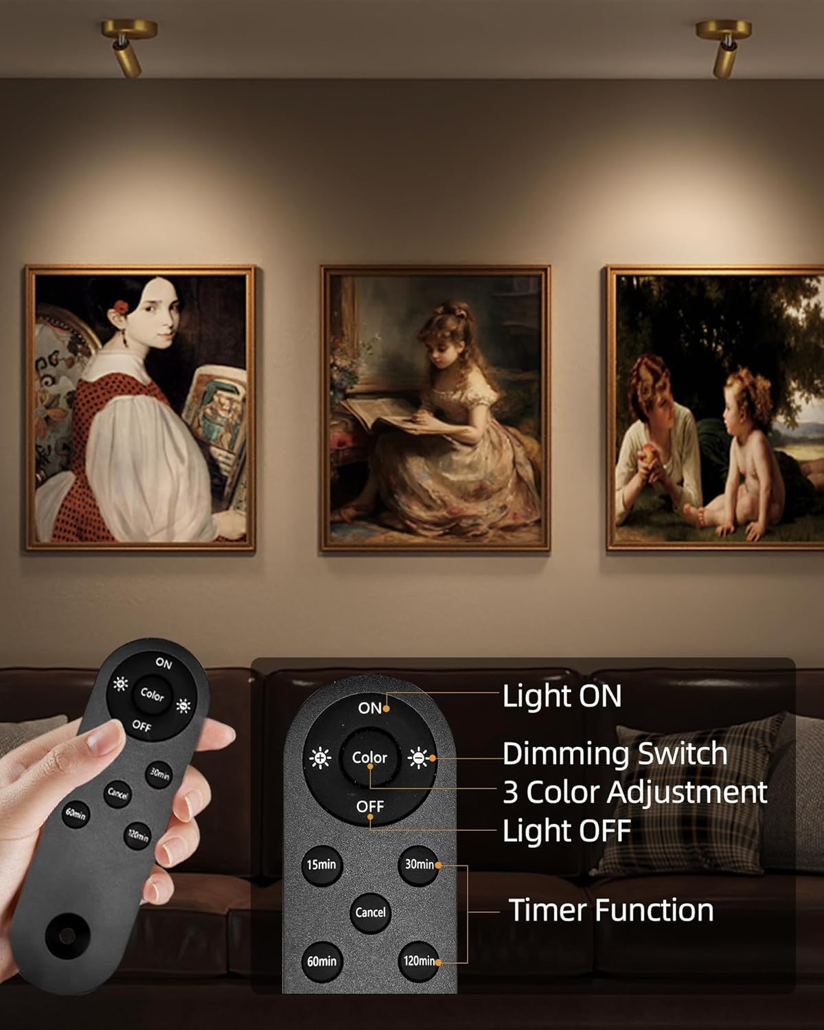 RGB Picture Light Rechargeable Color Changing with Remote for Wall Art