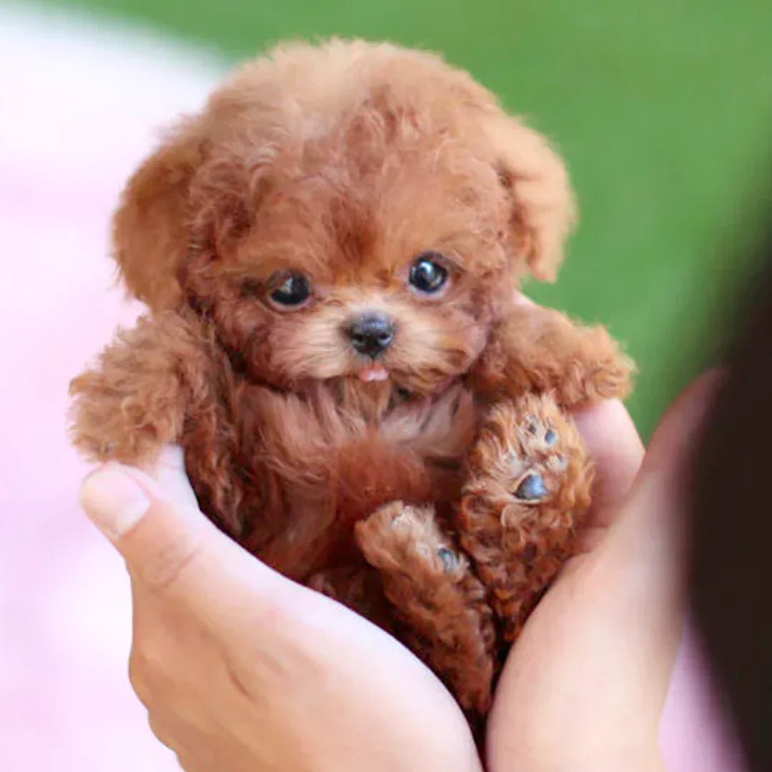 Interactive Plush Dog Toy Tail Wag and Head Movement Companion Pet