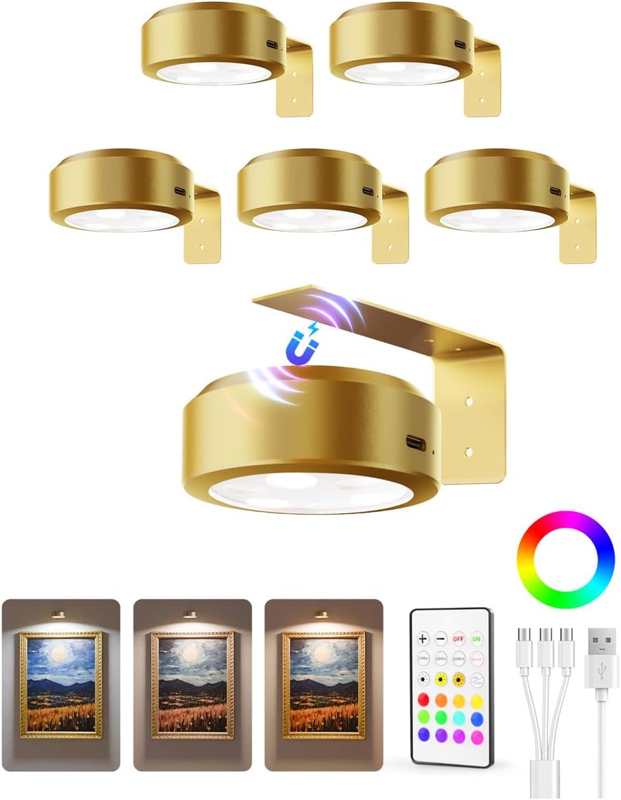 Picture Light Battery Operated Rechargeable Dimmable with Remote for Wall Art