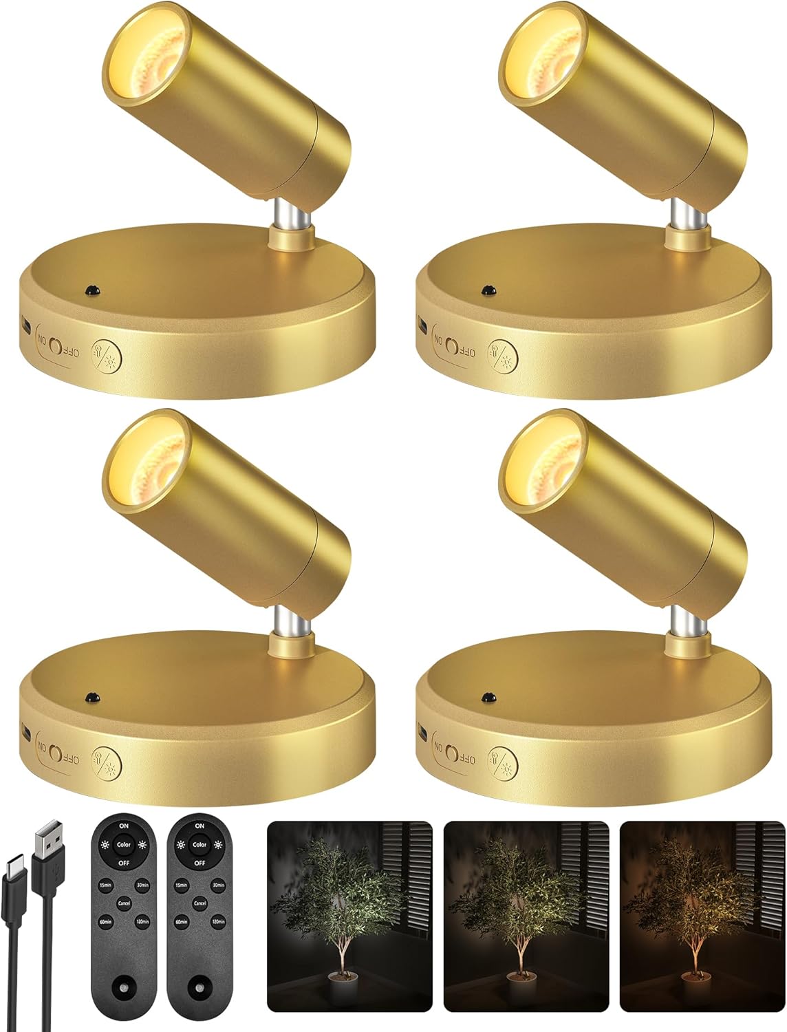 RGB Picture Light Rechargeable Color Changing with Remote for Wall Art