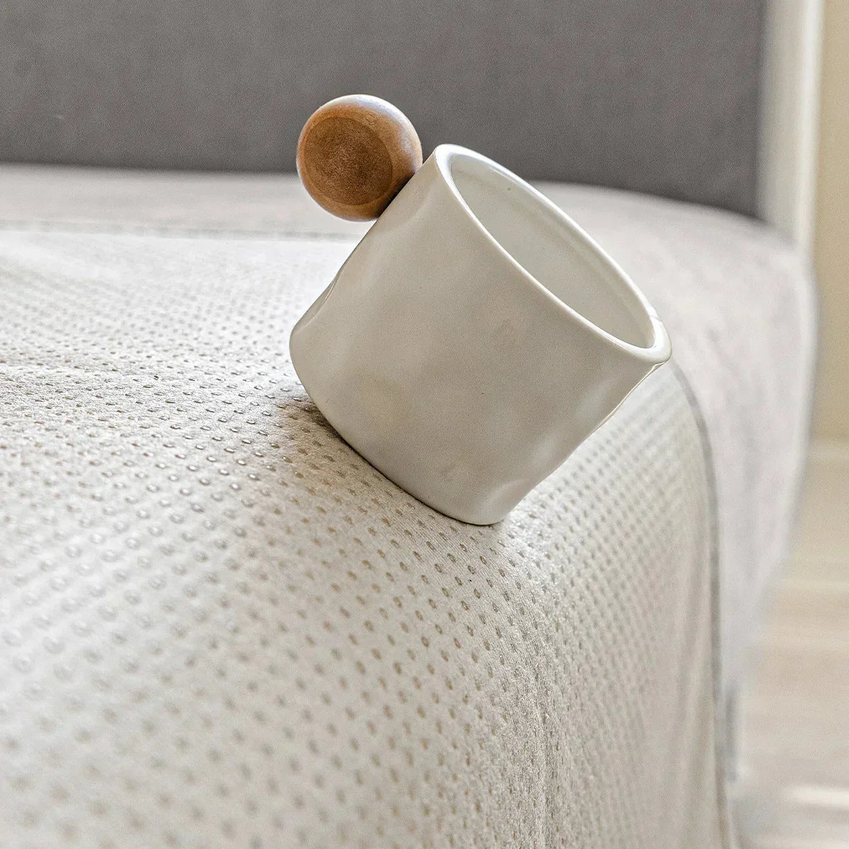Chenille Sofa Cover for Cats and Dogs with Braided Edge