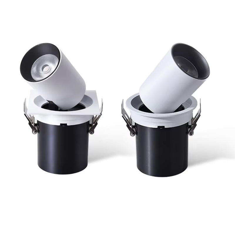 Recessed LED Spotlight Adjustable Tilt and Pull-Down Head