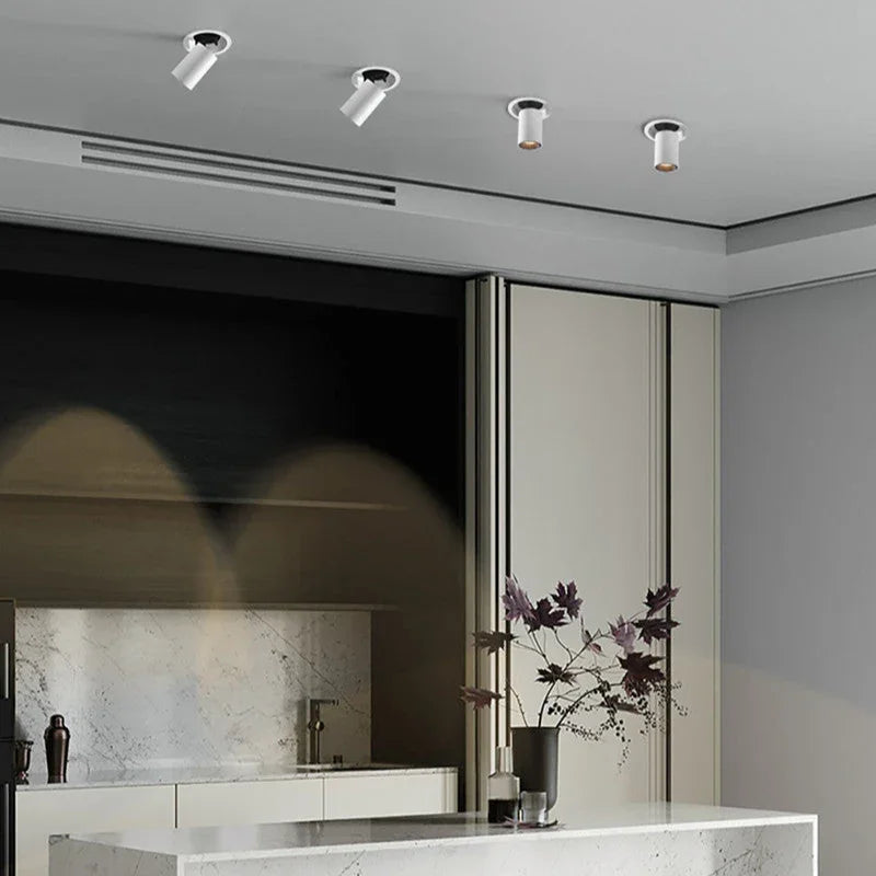 Recessed LED Spotlight Adjustable Tilt and Pull-Down Head