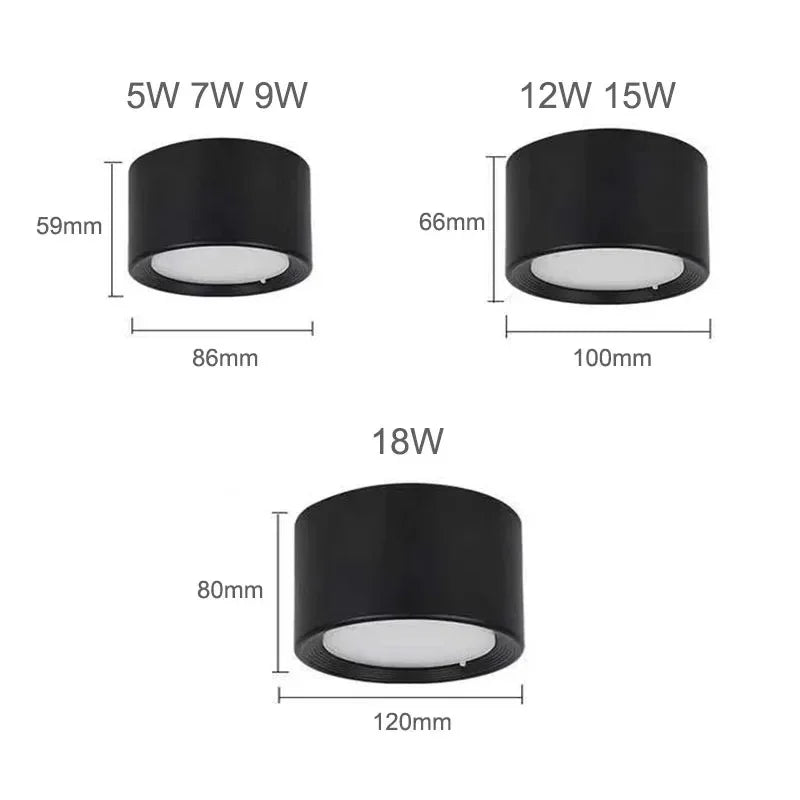 Surface Mount LED Ceiling Light, Mounts Flat with No Cut-Out